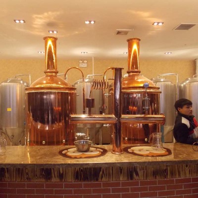 500L mini copper brewing equipment beer brewery machine for sale