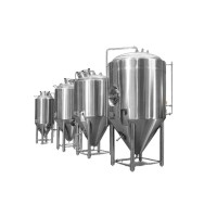 Craft Beer Manufacturing Brewing Brewery Fermenting Equipment